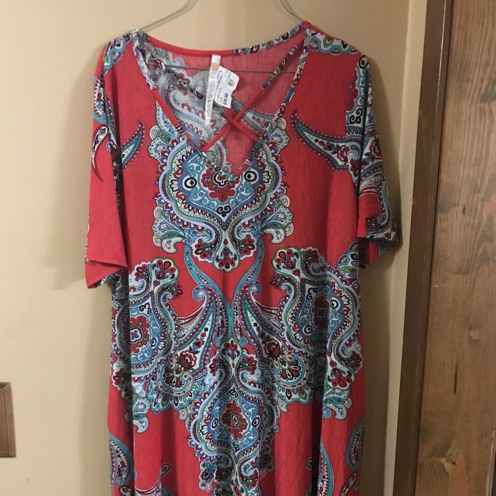 NWT Dressing Gaudy Tunic dress! Brand New!